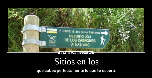 Sitios en los - que sabes perfectamente lo que te espera.