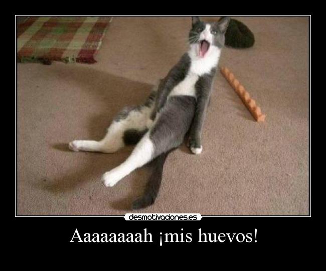 Aaaaaaaah ¡mis huevos! -