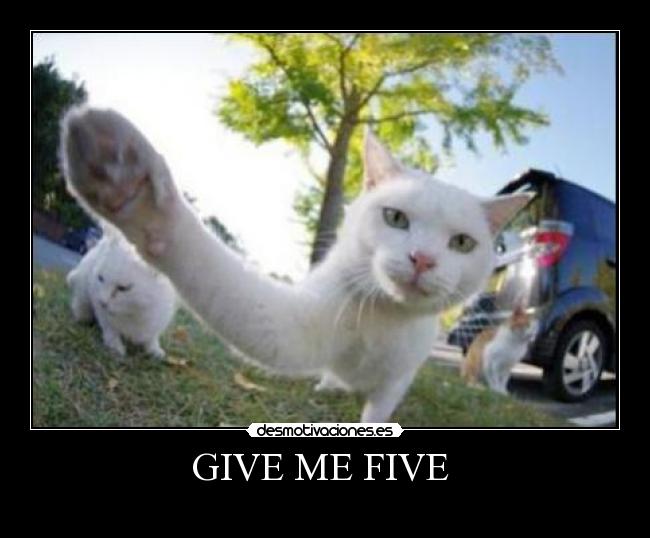 GIVE ME FIVE -