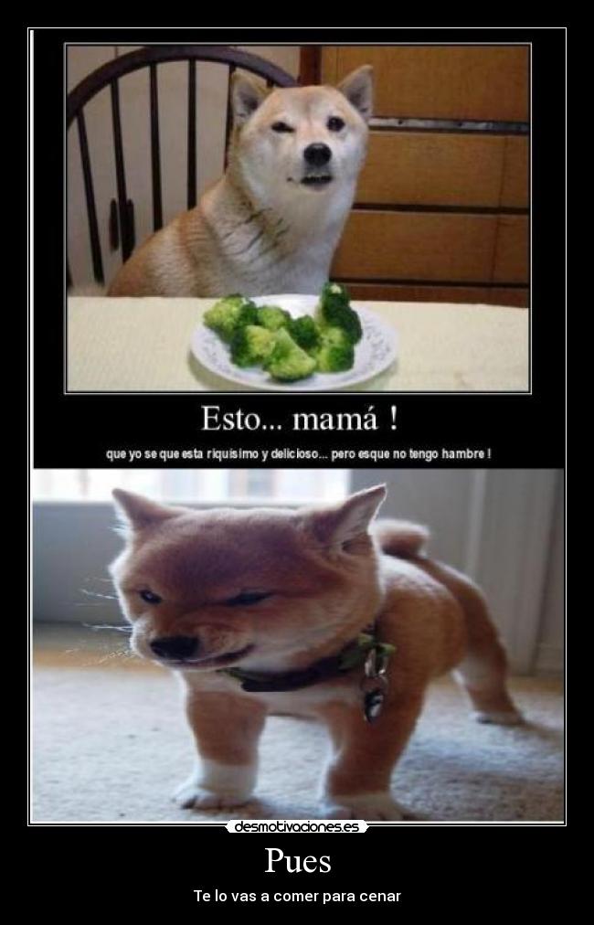 carteles desmotivaciones