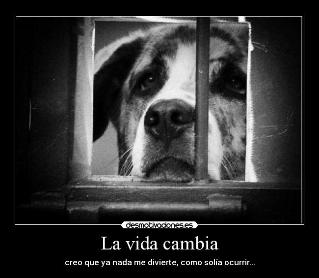 La vida cambia - creo que ya nada me divierte, como solía ocurrir...