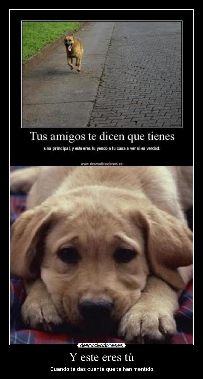 Y este eres tú - Cuando te das cuenta que te han mentido