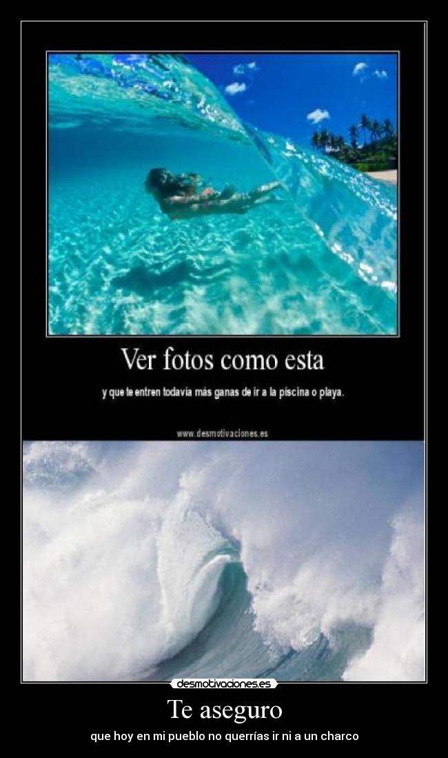 carteles desmotivaciones