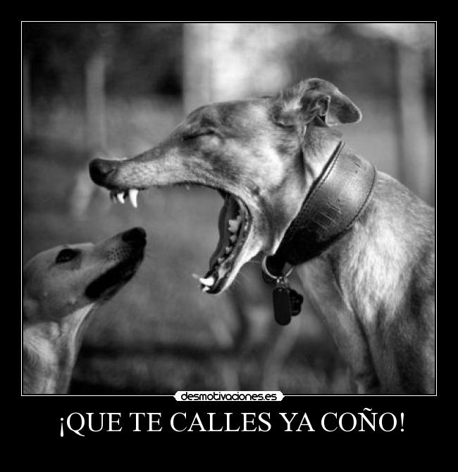 carteles que calles desmotivaciones