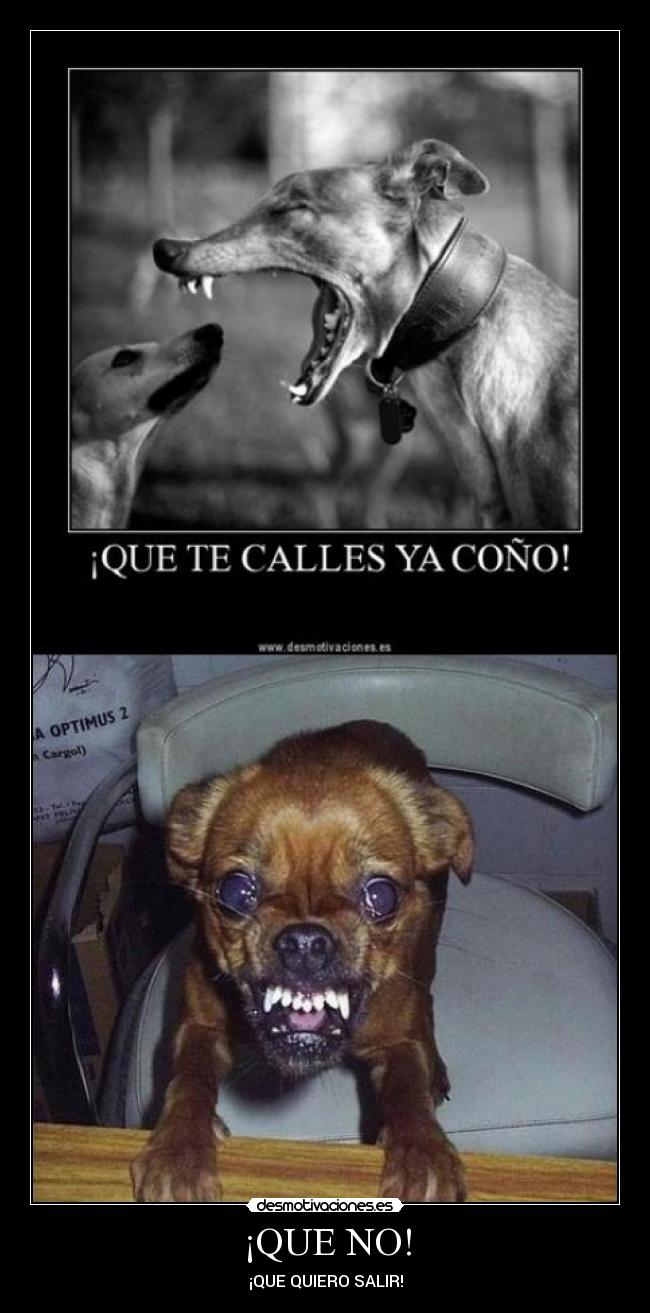 carteles desmotivaciones