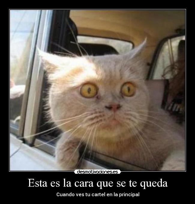 Esta es la cara que se te queda -