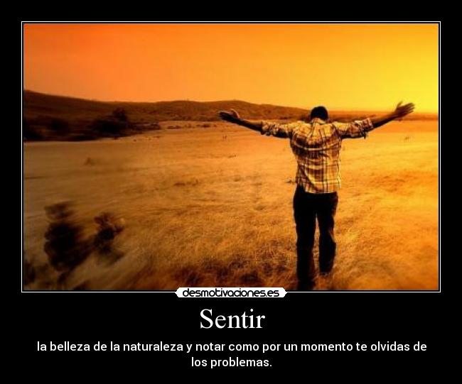 Sentir - 