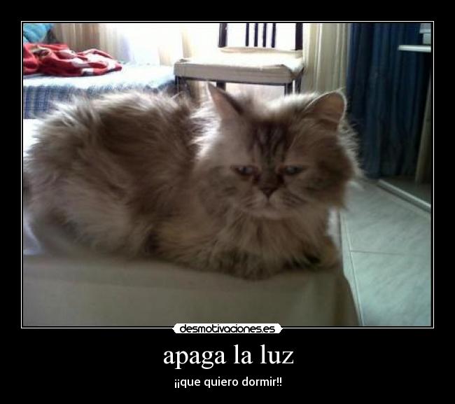 apaga la luz - ¡¡que quiero dormir!!
