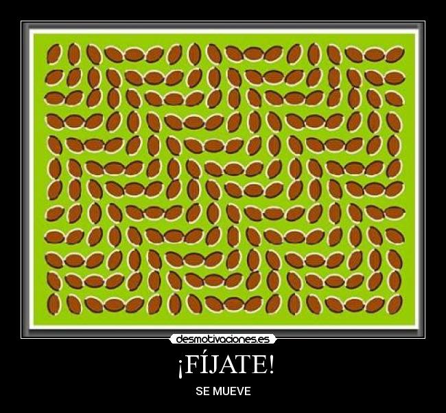 ¡FÍJATE! - SE MUEVE