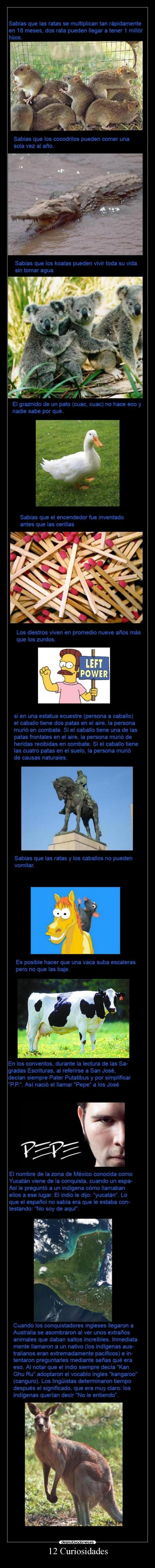 12 Curiosidades - 