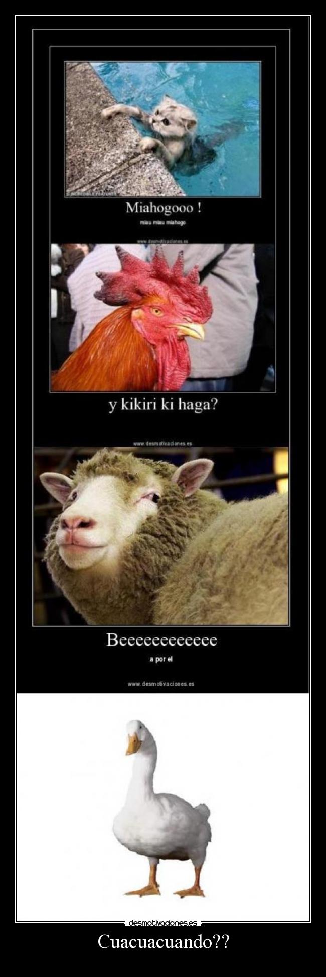 Cuacuacuando?? -