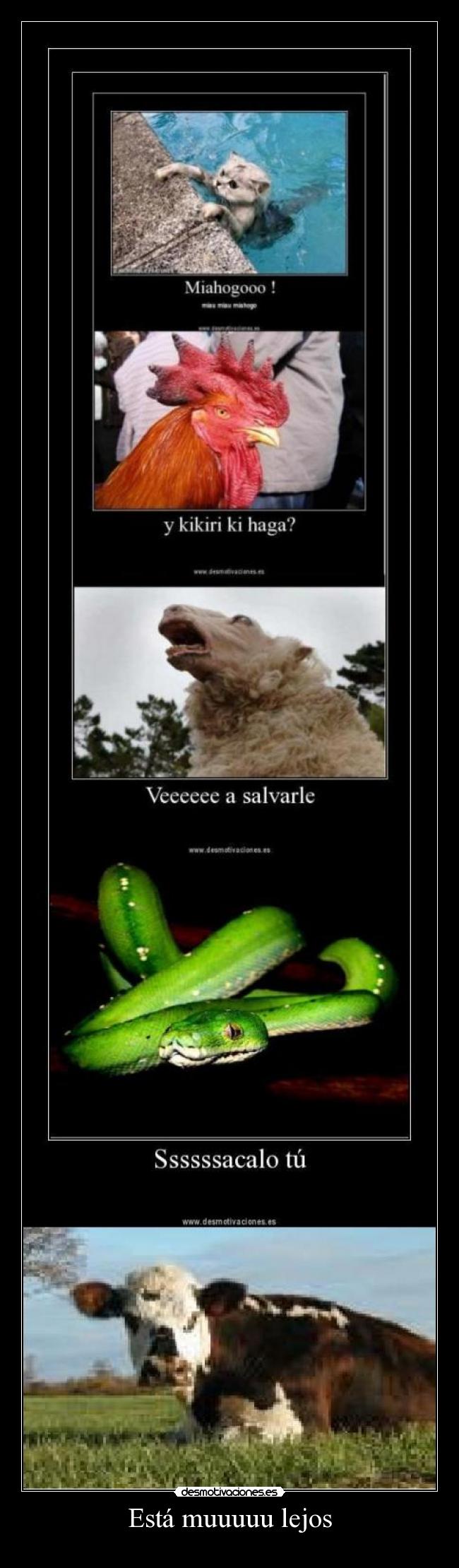 Está muuuuu lejos -