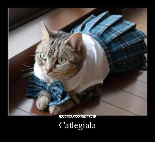 Catlegiala -