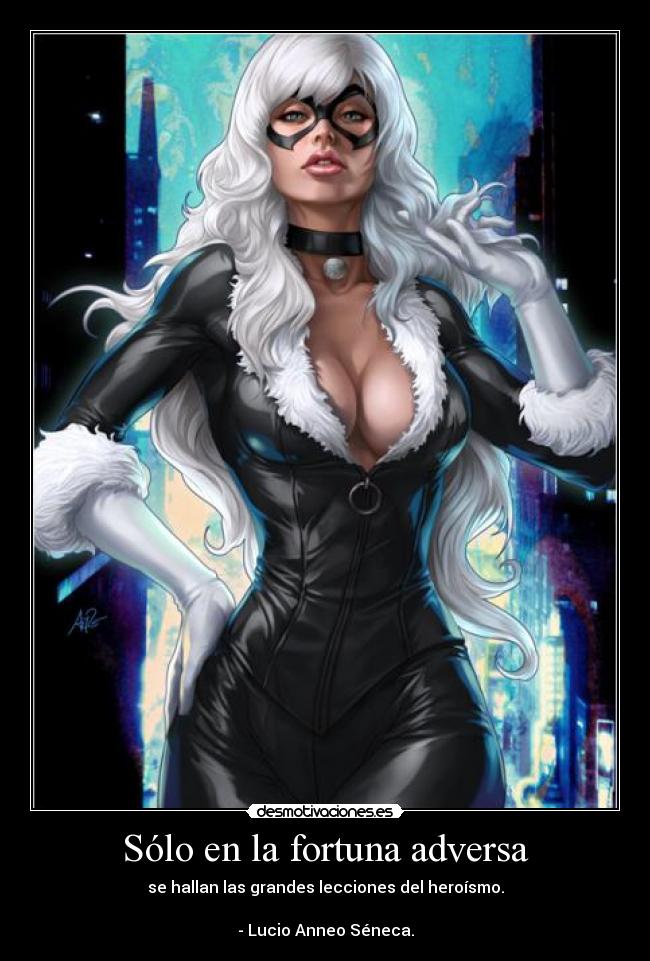 carteles solo fortuna adversa desmotivaciones