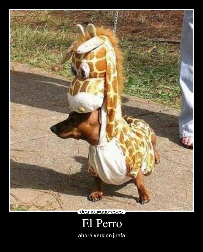 El Perro - ahora version jirafa
