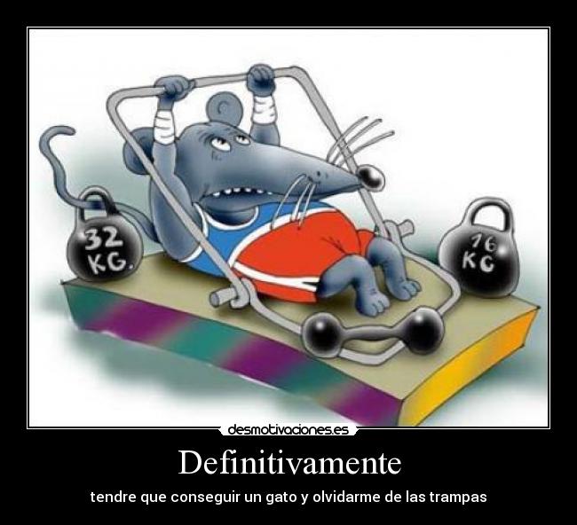 Definitivamente - tendre que conseguir un gato y olvidarme de las trampas