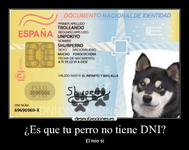 ¿Es que tu perro no tiene DNI? - El mio si
