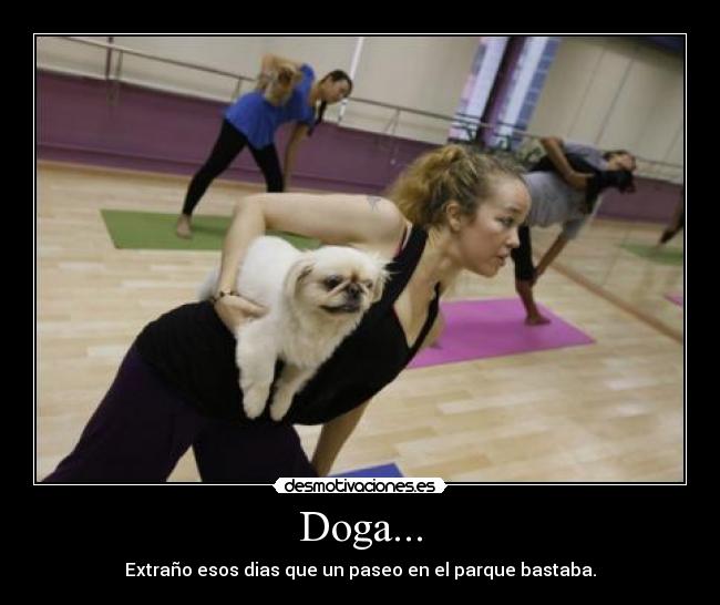 Doga... - 