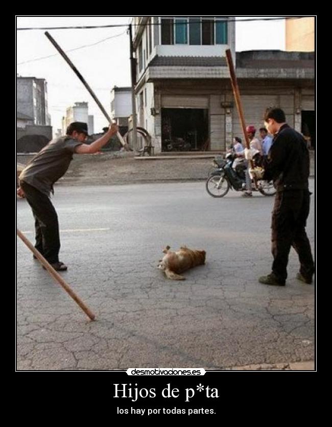 carteles deportivistadeporvida desmotivaciones