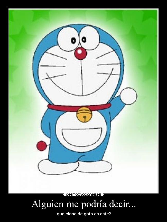 Alguien me podría decir... - que clase de gato es este?