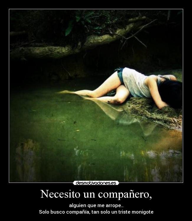 carteles necesito companero desmotivaciones