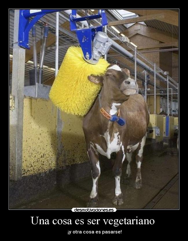 carteles bigdog desmotivaciones