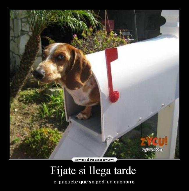 Fíjate si llega tarde -