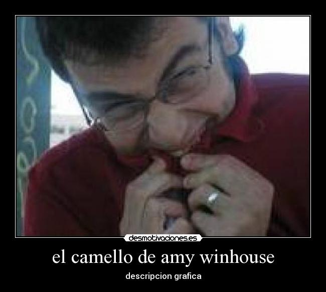 el camello de amy winhouse - descripcion grafica