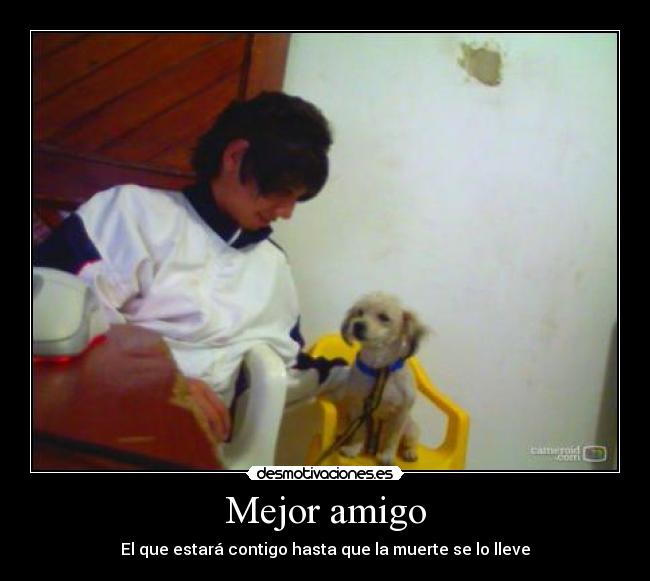 Mejor amigo -