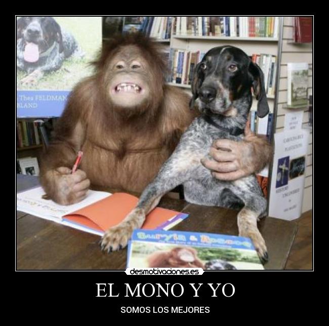 carteles desmotivaciones