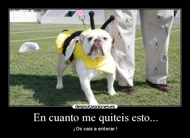 En cuanto me quiteis esto... -