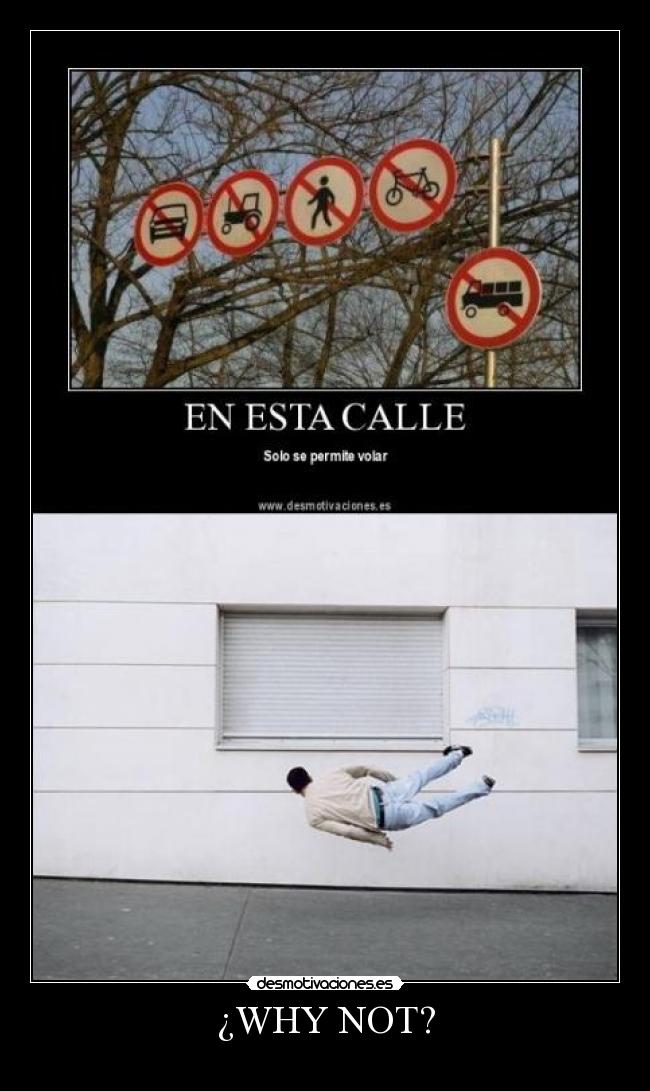 ¿WHY NOT? -