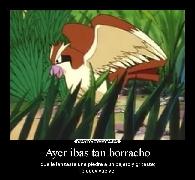 Ayer ibas tan borracho - 