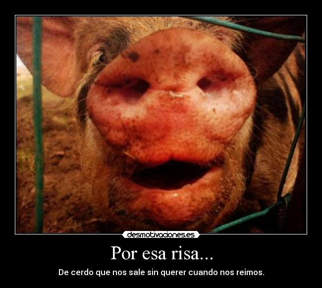 Por esa risa... -