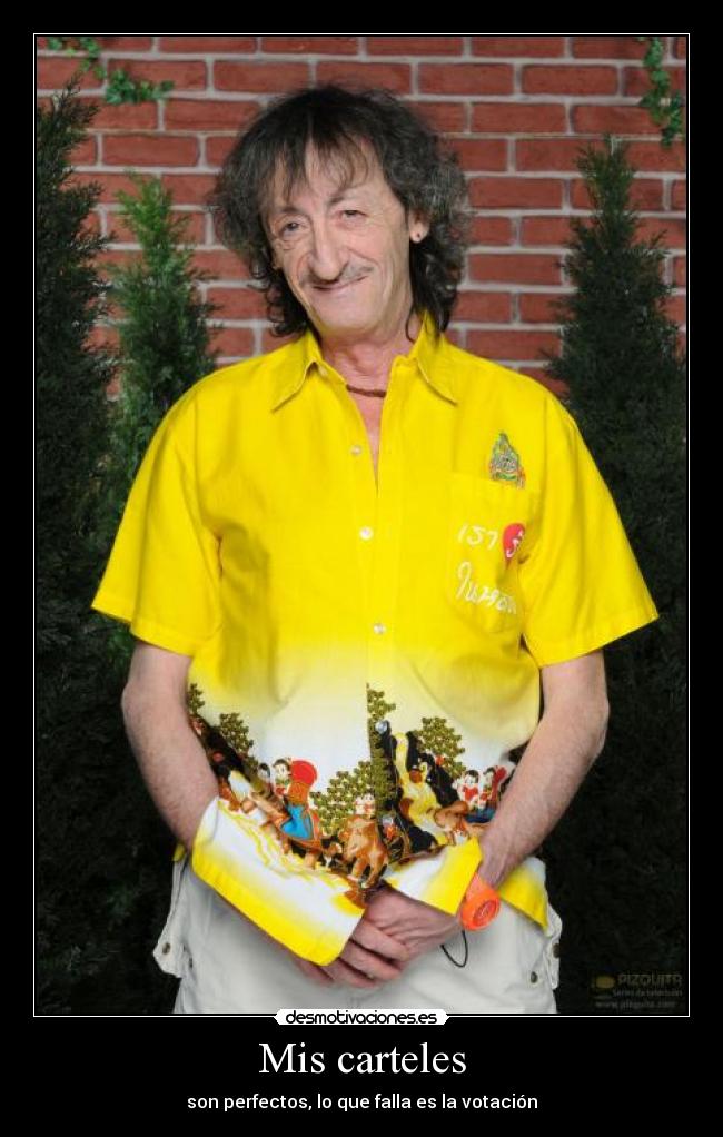 Mis carteles - son perfectos, lo que falla es la votación