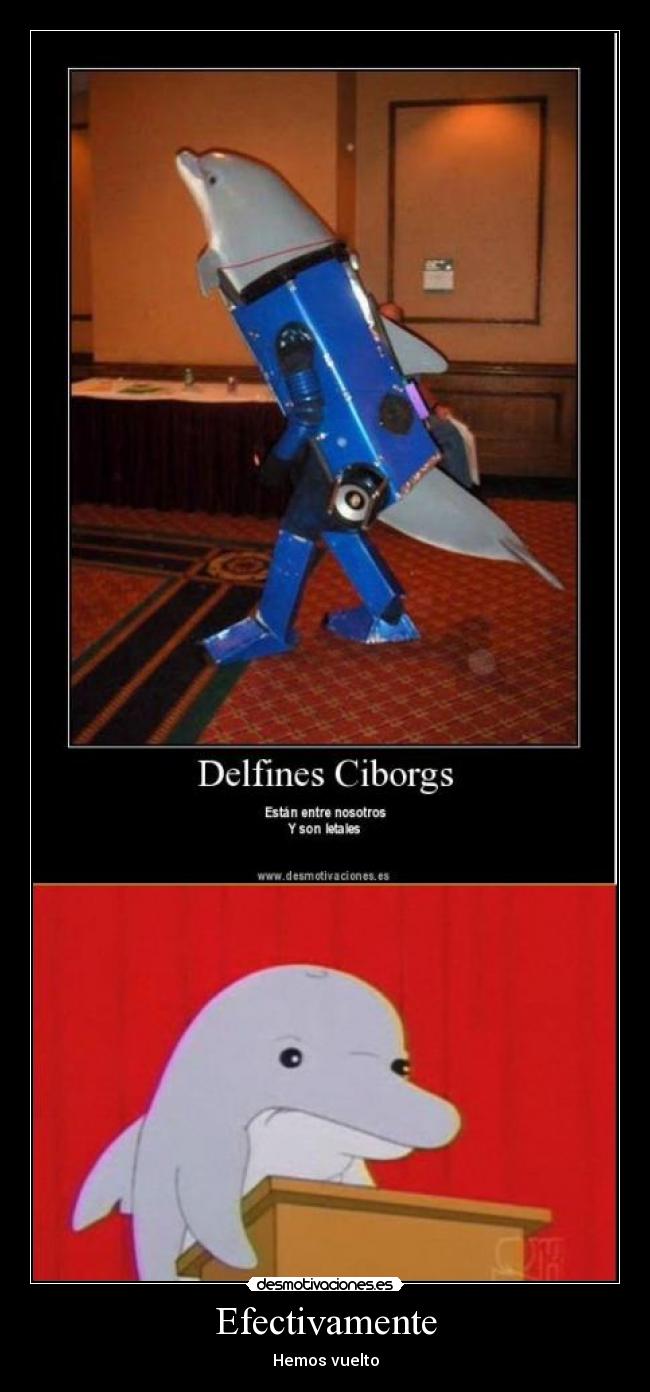 Efectivamente - Hemos vuelto