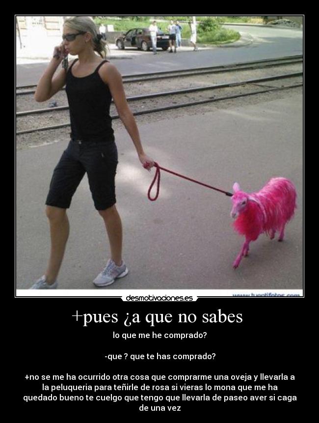 +pues ¿a que no sabes - lo que me he comprado?
-que ? que te has comprado?
+no se me ha ocurrido otra cosa que comprarme una oveja y llevarla a
la peluqueria para teñirle de rosa si vieras lo mona que me ha
quedado bueno te cuelgo que tengo que llevarla de paseo aver si caga
de una vez