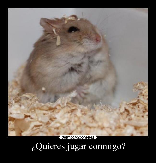 ¿Quieres jugar conmigo? - 