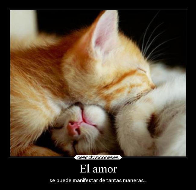 carteles amor amor maneras desmotivaciones