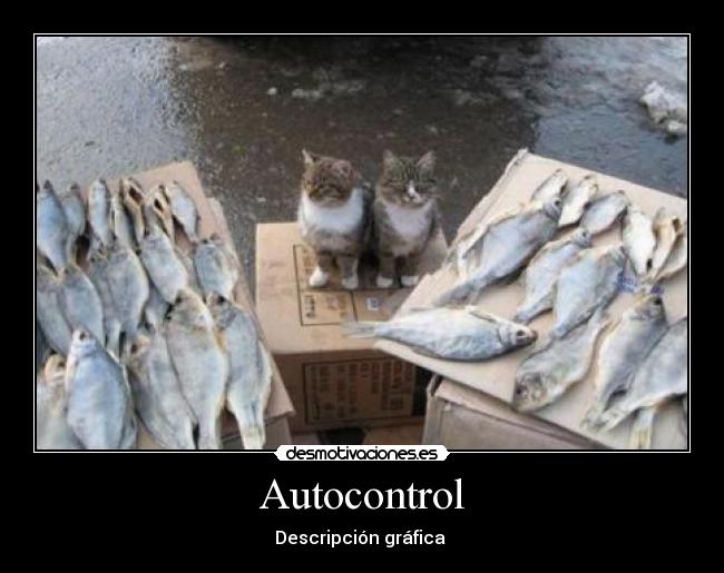 Autocontrol - Descripción gráfica 