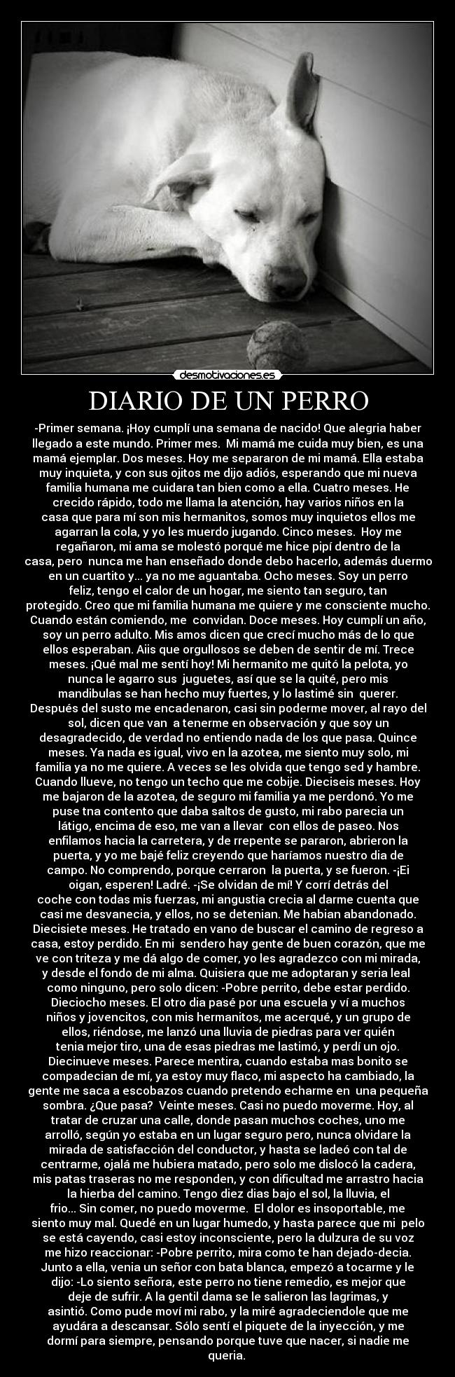 DIARIO DE UN PERRO -