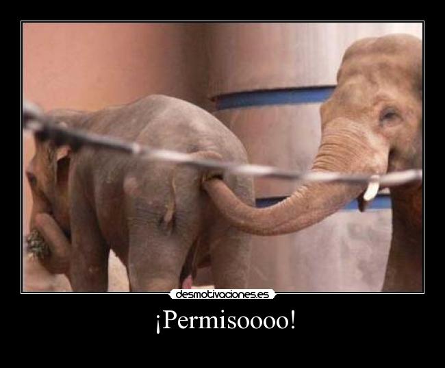 ¡Permisoooo! -