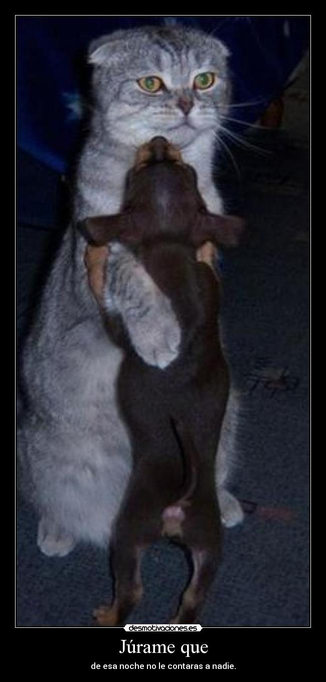 Júrame que - de esa noche no le contaras a nadie.