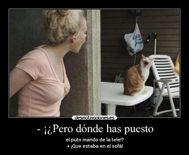 carteles gato discutiendo con duena desmotivaciones