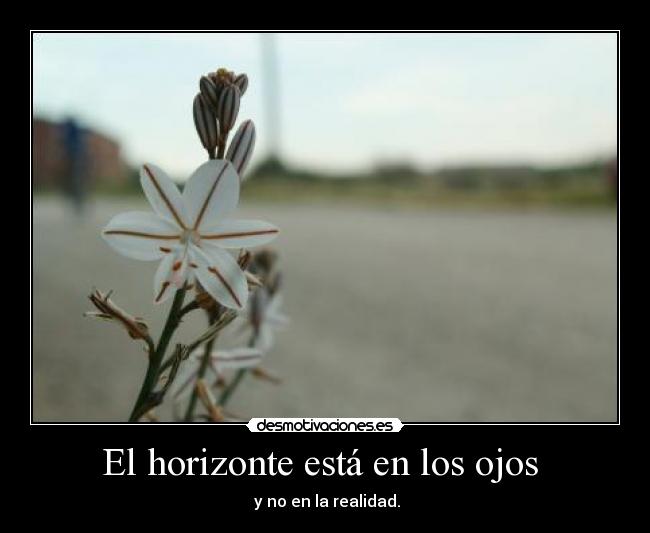El horizonte está en los ojos -