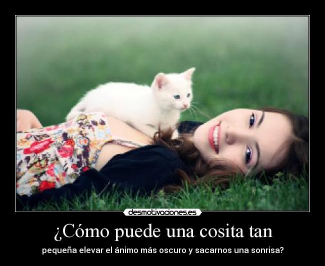 ¿Cómo puede una cosita tan - pequeña elevar el ánimo más oscuro y sacarnos una sonrisa?