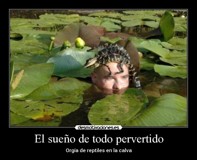 El sueño de todo pervertido - Orgía de reptiles en la calva