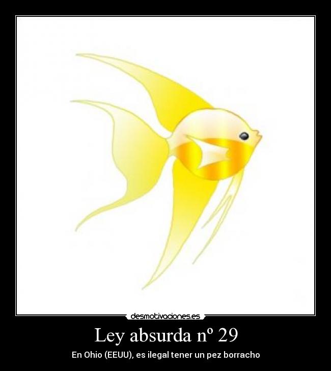 Ley absurda nº 29 - En Ohio (EEUU), es ilegal tener un pez borracho