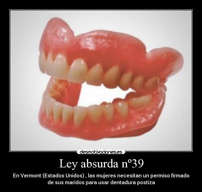 Ley absurda nº39 -