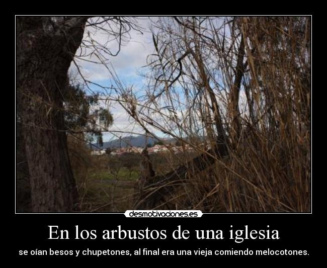 En los arbustos de una iglesia - se oían besos y chupetones, al final era una vieja comiendo melocotones.